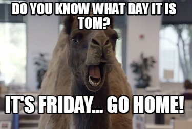 do-you-know-what-day-it-is-tom-its-friday...-go-home