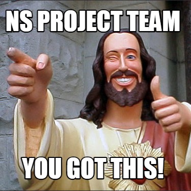 ns-project-team-you-got-this