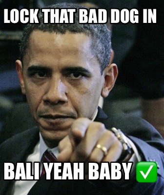 lock-that-bad-dog-in-bali-yeah-baby-