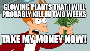 glowing-plants-that-i-will-probably-kill-in-two-weeks-take-my-money-now