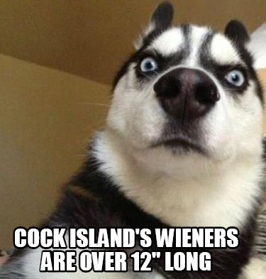 cock-islands-wieners-are-over-12-long