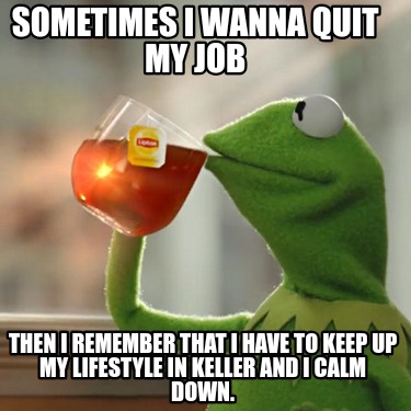 sometimes-i-wanna-quit-my-job-then-i-remember-that-i-have-to-keep-up-my-lifestyl