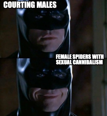 courting-males-female-spiders-with-sexual-cannibalism