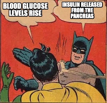 blood-glucose-levels-rise-insulin-released-from-the-pancreas