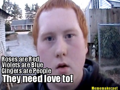 Meme Maker Roses Are Red Violets Are Blue Gingers Are People They Need Love To Meme Generator