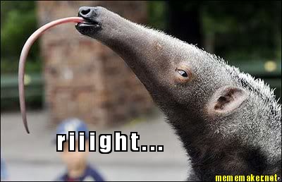 meme maker r i i i g h t meme generator! 111248 meme maker r i i i g h t meme generator!,Anteater Meme Generator