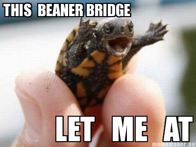 this-beaner-bridge-let-me-at-it