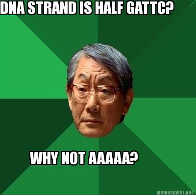 dna-strand-is-half-gattc-why-not-aaaaa