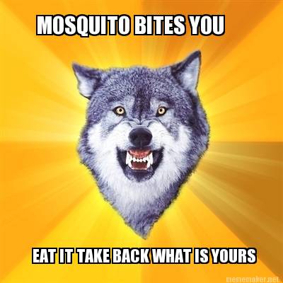 mosquito-bites-you-eat-it-take-back-what-is-yours