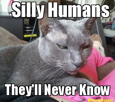 Meme Maker - Silly Humans They'll Never Know Meme Generator!