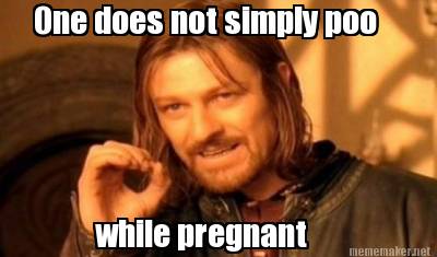 one-does-not-simply-poo-while-pregnant