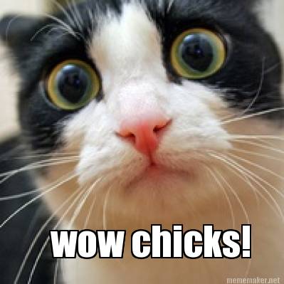 wow-chicks
