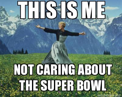 this-is-me-not-caring-about-the-super-bowl9