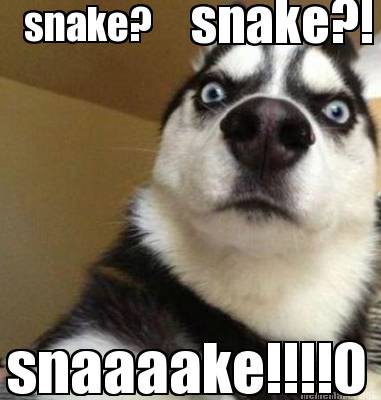 Meme Maker - snake? snake?! snaaaake!!!!0 Meme Generator!