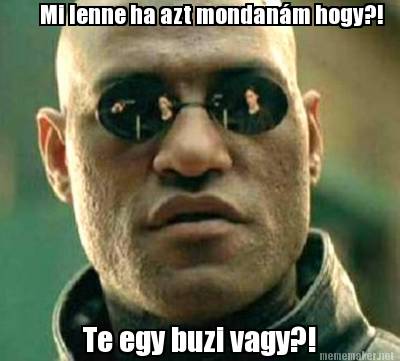 mi-lenne-ha-azt-mondanm-hogy-te-egy-buzi-vagy