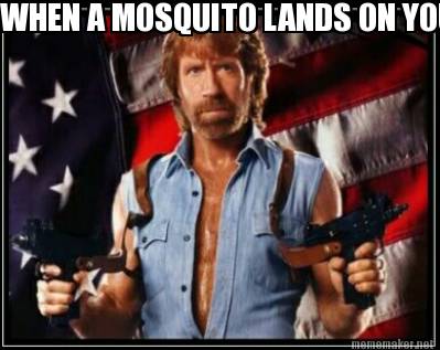 when-a-mosquito-lands-on-your-testicles-you-understand-non-violent-solutions