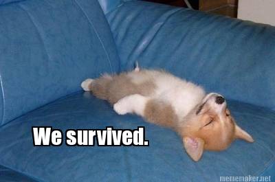 we-survived2
