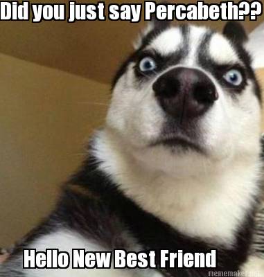 did-you-just-say-percabeth-hello-new-best-friend