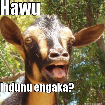 hawu-indunu-engaka4