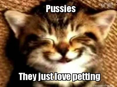 pussies-they-just-love-petting