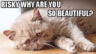 risky-why-are-you-so-beautiful