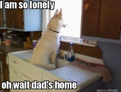 i-am-so-lonely-oh-wait-dads-home7