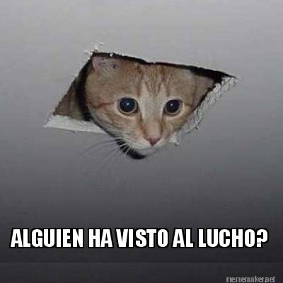 alguien-ha-visto-al-lucho9