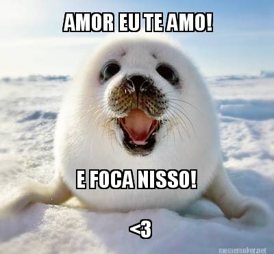 amor-eu-te-amo-e-foca-nisso-