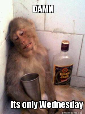 damn-its-only-wednesday4