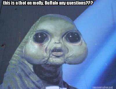 this-is-a-thot-on-molly-buffalo-any-questions