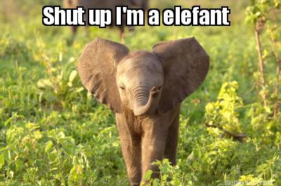 shut-up-im-a-elefant