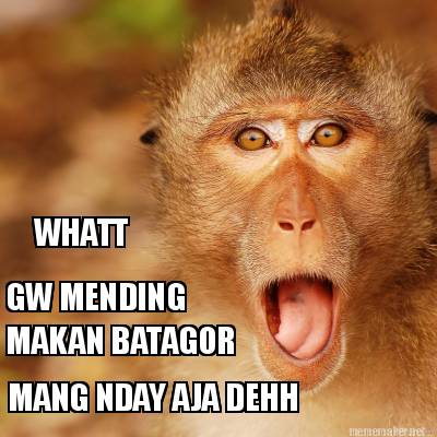 whatt-gw-mending-makan-batagor-mang-nday-aja-dehh