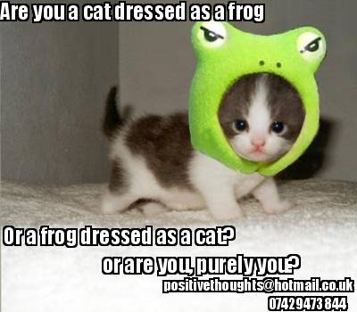 are-you-a-cat-dressed-as-a-frog-or-a-frog-dressed-as-a-cat-or-are-you-purely-you