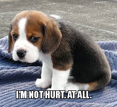im-not-hurt.-at-all