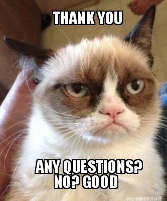 Meme Maker - THANK YOU ANY QUESTIONS? NO? GOOD Meme Generator! Meme Maker - THANK YOU ANY QUESTIONS? NO? GOOD Meme Generator!