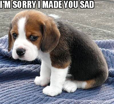 im-sorry-i-made-you-sad