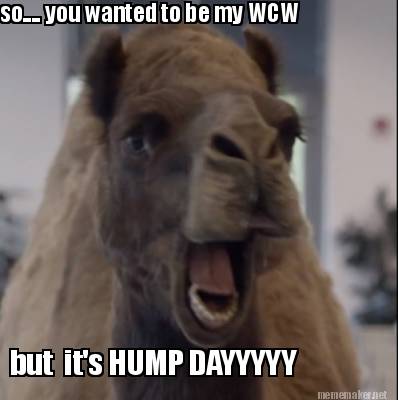 so....-you-wanted-to-be-my-wcw-but-its-hump-dayyyyy