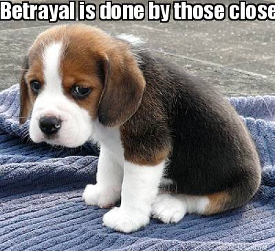 betrayal-is-done-by-those-closest-to-your-heart