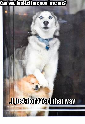 can-you-just-tell-me-you-love-me-..i-just-dont-feel-that-way