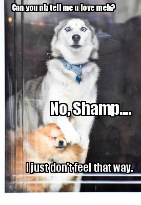 can-you-plz-tell-me-u-love-meh-no-shamp....-i-just-dont-feel-that-way