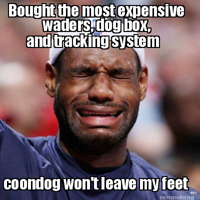 bought-the-most-expensive-waders-dog-box-and-tracking-system-coondog-wont-leave-