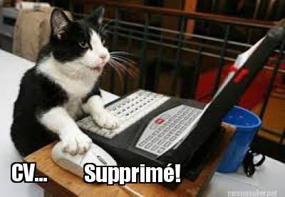 cv...-supprim