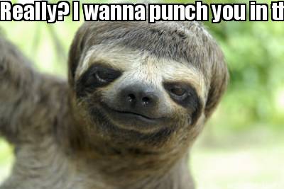 really-i-wanna-punch-you-in-the-face