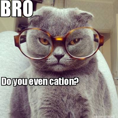bro-do-you-even-cation
