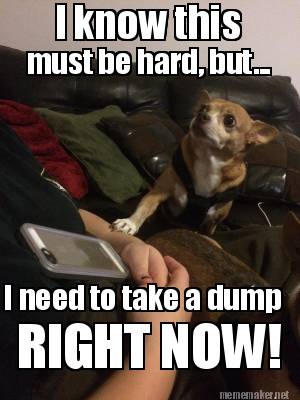 i-know-this-must-be-hard-but...-i-need-to-take-a-dump-right-now