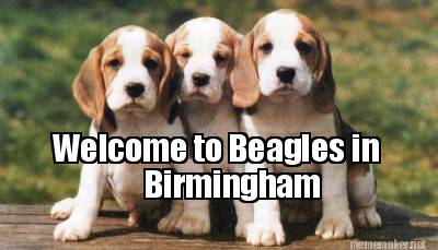 welcome-to-beagles-in-birmingham