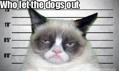 who-let-the-dogs-out8