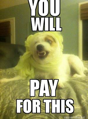 you-will-pay-for-this