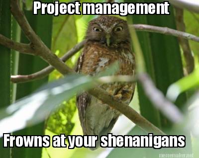 angry owl meme