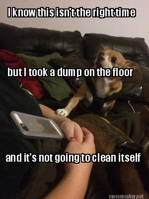 i-know-this-isnt-the-right-time-but-i-took-a-dump-on-the-floor-and-its-not-going